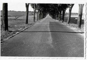 1966.18 września..Droga do Łeby, odcinek Nowa Wieś - Garcegorze